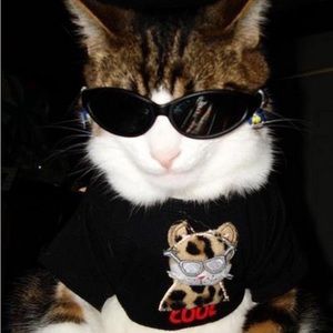 Meet your Posher, Jason